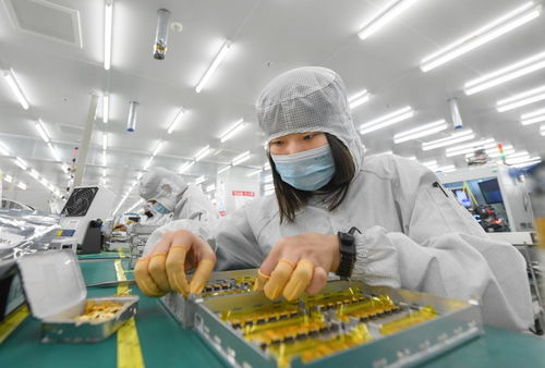 信息技術(shù)賦能，武漢都市圈加壓奮進打造全國高質(zhì)量發(fā)展新增長極