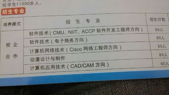 大學軟件測試方向?qū)I(yè)選擇指南 計算機網(wǎng)絡、計算機應用與軟件技術深度解析